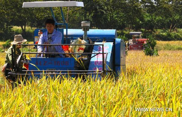 Farmers work in a field in Bailu Village of Xiangtian Township in Jing&apos;an County, east China&apos;s Jiangxi Province, Oct. 3, 2010. [Xu Zhongting/Xinhua]