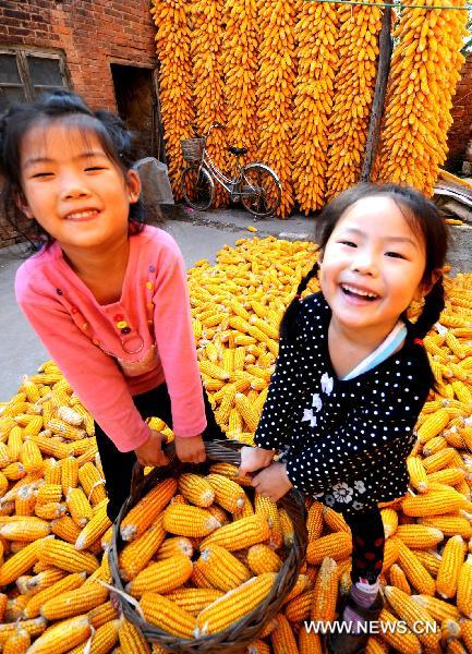 Girls help to carry corns in Zhongwang Village of Jiyuan City, central China&apos;s Henan Province, Oct. 4, 2010. As autumn falls, farmers started to harvest crops in farms in Henan. [Miao Qiunao/Xinhua]