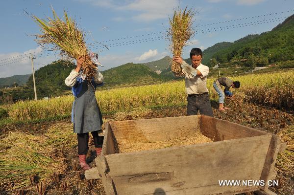 Farmers work in a field in Machang Village of Qiantao Township in Guiyang, capital of southwest China&apos;s Guizhou Province, Oct. 3, 2010. As autumn falls, farmers started to harvest crops in farms of Guiyang. [Wu Dongjun/Xinhua]