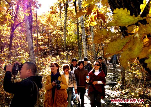 Tourists take photos in the oak forest in Jiayin, northeast China's Heilongjiang Province. 