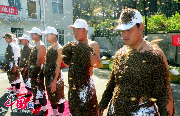 Six warriors pose as bees cover their bodies during a &apos;Bees Men&apos; competition at Huaxia Honey Bee Museum on October 3, 2010 in Xiangfan, Hubei Province of China. [photo/CFP]