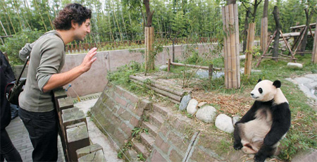 Ali Shakorian says hello to panda Jing Jing at Chengdu's breeding center. He is one of the six panda ambassadors who will raise awareness of the endangered species and animal protection. [China Daily] 