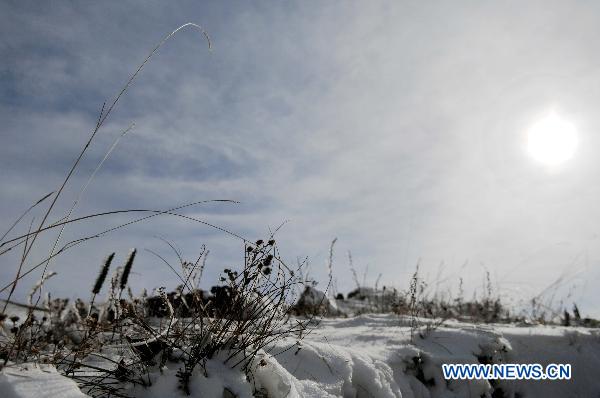 Plants on the Moon Mountain are seen in the sun after snow in Yinchuan, capital of northwest China&apos;s Ningxia Hui Autonomous Region, Oct. 11, 2010. [Xinhua] 