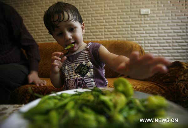 Twenty-month-old Palestinian boy Naaman Amer enjoys eating hot pepper at his home in the West Bank city of Nablus, on October 11, 2010. Amer started eating pepper in all meals when he was in his fourteenth month as he is considered the youngest hot pepper-eater in the world. [Xinhua]