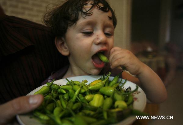 Twenty-month-old Palestinian boy Naaman Amer enjoys eating hot pepper at his home in the West Bank city of Nablus, on October 11, 2010. Amer started eating pepper in all meals when he was in his fourteenth month as he is considered the youngest hot pepper-eater in the world. [Xinhua] 