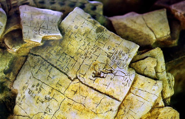 Oracle bone inscriptions unearthed from the Yin Ruins are seen in Anyang, Central China&apos;s Henan province. [File photo/Xinhua] 