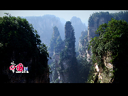 Zhangjiajie of Hunan Province is marked with world-famous Sandstone Peak Forest Geopark, where more than 3,000 sandstone peaks erected high in the clouds are very unique in the world. [Wu Changchun/China.org.cn]
