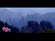 Zhangjiajie of Hunan Province is marked with world-famous Sandstone Peak Forest Geopark, where more than 3,000 sandstone peaks erected high in the clouds are very unique in the world. [Wu Changchun/China.org.cn]