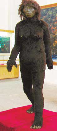 An imagined recreation of the disputed ape-like creature, Bigfoot, stands in a museum in Shennongjia, Hubei province. [File photo/For China Daily]  