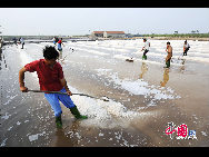 The photo shows the salt manufacturing process at Wangjiatan Salt Field, located in Rizhao City, Shandong Province. [Photo by Chen Weifeng]