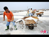 The photo shows the salt manufacturing process at Wangjiatan Salt Field, located in Rizhao City, Shandong Province. [Photo by Chen Weifeng]