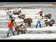 The photo shows the salt manufacturing process at Wangjiatan Salt Field, located in Rizhao City, Shandong Province. [Photo by Chen Weifeng]