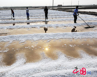 Wangjiatan Salt Field in Rizhao City