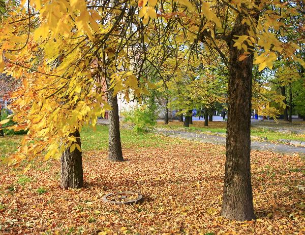 Photo taken on Oct. 11, 2010 shows the beautiful scenery in Smolensk, Russia. Smolensk is an ancient city which was established in the year of 863 A.D.. It was one of the main battlefields during the Second World War. [Xinhua/Lu Jinbo]