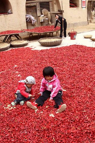 Two children play on a bed of sun-dried red chili peppers in Huoyanshan village of Yan&apos;an, Shaanxi province, Oct 13, 2010. A chili pepper festival is being held in the village, where favorable geologic conditions for the crop will lead to good sale around the nation. [Xinhua] 