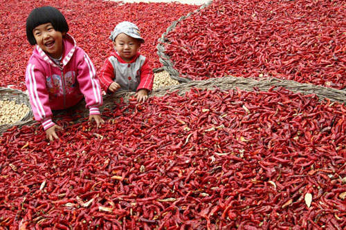 Tow children play with sun-dried red chili peppers in Huoyanshan village of Yan&apos;an, Shaanxi province, Oct 13, 2010. [Xinhua] 