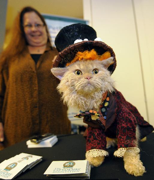 A cat poses in costume during a preview of the second annual Meet the Breeds, sponsored by the American Kennel Club and Cat Fanciers&apos; Association, Wednesday, Oct. 13, 2010, in New York. The event returns to the Jacob Javits Convention Center on Oct. 16 and 17 to showcase some of the country&apos;s rarest dog and cat breeds. [Xinhua/AFP]