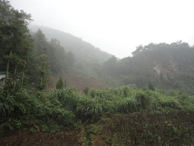 The green and peaceful valley of Qian Nian Gu Bo on October 12, 2010. [Photo:CRIENGLISH.com]