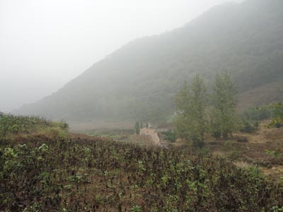 The green valley of Qian Nian Gu Bo on October 12, 2010.[Photo:CRIENGLISH.com] 