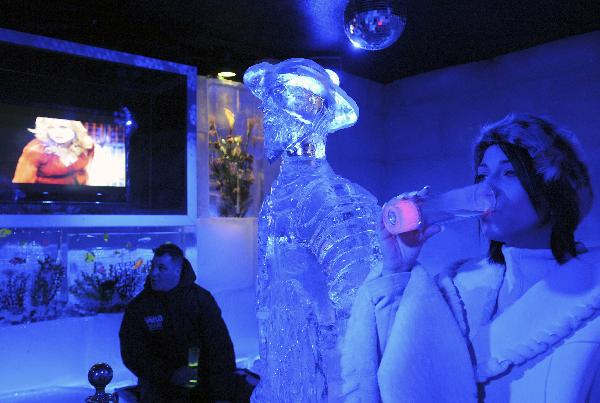 Tourists get some drinks inside a newly inaugurated Ice Bar in a downtown hotel in Montevideo, on October 13, 2010. The bar was made with 180 ice blocks of 90x50x25. [Xinhua/AFP]