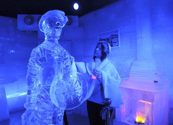 Tourist gets some drinks inside a newly inaugurated Ice Bar in a downtown hotel in Montevideo, on October 13, 2010. The bar was made with 180 ice blocks of 90x50x25. [Xinhua/AFP] 