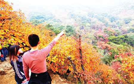 Leaf peepers admire fall foliage at Fragrant Hills in October last year. Photo: IC 