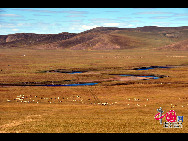 Magnificent scenery is seen on the grassland in Hulun Buir, north China's Inner Mongolia Autonomous Region. The beautiful scenery of the vast grassland, forests, rivers and lakes, as well as the unique customs of the Mongolian ethnic group, have attracted a great number of tourists at home and abroad. [Photo by Xiaoyong]