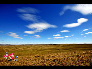 Magnificent scenery is seen on the grassland in Hulun Buir, north China's Inner Mongolia Autonomous Region. The beautiful scenery of the vast grassland, forests, rivers and lakes, as well as the unique customs of the Mongolian ethnic group, have attracted a great number of tourists at home and abroad. [Photo by Xiaoyong]