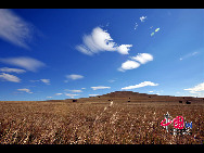 Magnificent scenery is seen on the grassland in Hulun Buir, north China's Inner Mongolia Autonomous Region. The beautiful scenery of the vast grassland, forests, rivers and lakes, as well as the unique customs of the Mongolian ethnic group, have attracted a great number of tourists at home and abroad. [Photo by Xiaoyong]