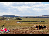 Magnificent scenery is seen on the grassland in Hulun Buir, north China's Inner Mongolia Autonomous Region. The beautiful scenery of the vast grassland, forests, rivers and lakes, as well as the unique customs of the Mongolian ethnic group, have attracted a great number of tourists at home and abroad. [Photo by Xiaoyong]