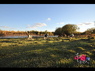 Magnificent scenery is seen on the grassland in Hulun Buir, north China's Inner Mongolia Autonomous Region. The beautiful scenery of the vast grassland, forests, rivers and lakes, as well as the unique customs of the Mongolian ethnic group, have attracted a great number of tourists at home and abroad. [Photo by Xiaoyong]