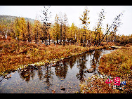 Magnificent scenery is seen on the grassland in Hulun Buir, north China's Inner Mongolia Autonomous Region. The beautiful scenery of the vast grassland, forests, rivers and lakes, as well as the unique customs of the Mongolian ethnic group, have attracted a great number of tourists at home and abroad. [Photo by Xiaoyong]