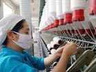 High cotton prices strike textile industry