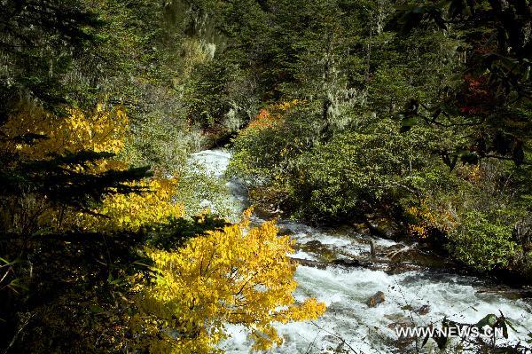 Photo taken on Oct. 16, 2010 shows the autumn scenery of Mugecuo, a famouse lake scenic spot, in Kangding, southwest China's Sichuan Province. [Xinhua/Jia Nanyi]