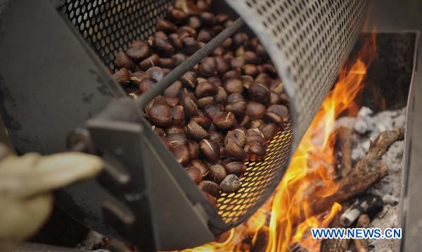 A man roasts chestnuts during a celebration of the Chestnut Festival held in Fully, Valais Canton, Switzerland, Oct. 16, 2010. [Xinhua/Yu Yang]