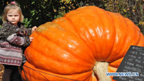 Giant pumpkins exhibition held for Halloween