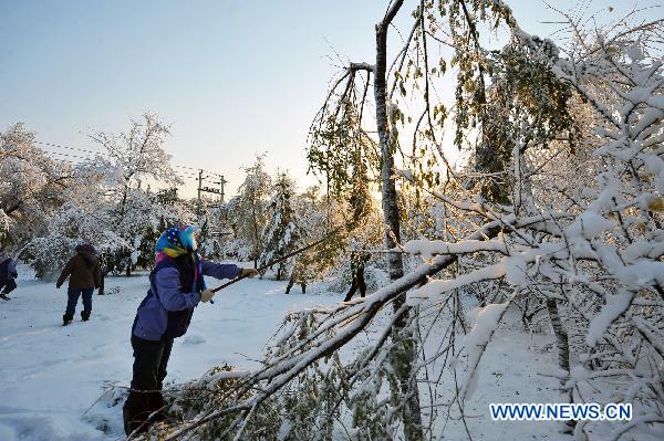 Workers clean the tree branches broke by snow in Daqing, northeast China&apos;s Heilongjiang Province, Oct. 16, 2010. Northeast China witnessed a significant temperature drop on Saturday. 