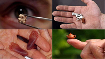 Ten of world's smallest things