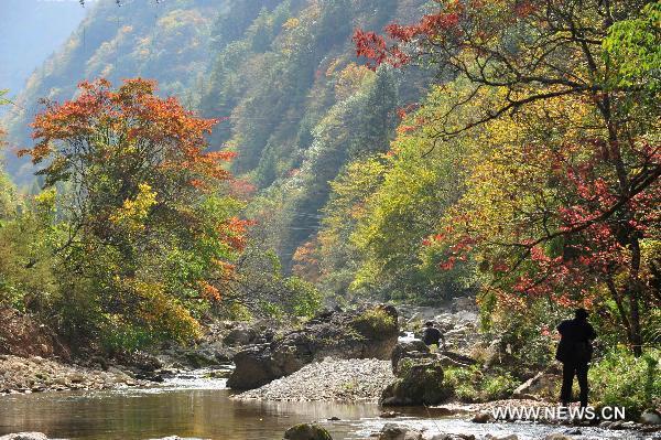 Photo taken on Oct. 18, 2010 shows the autumn scenery at the Shennongjia Nature Reserve in central China's Hubei Province. [Xinhua/Du Huaju] 