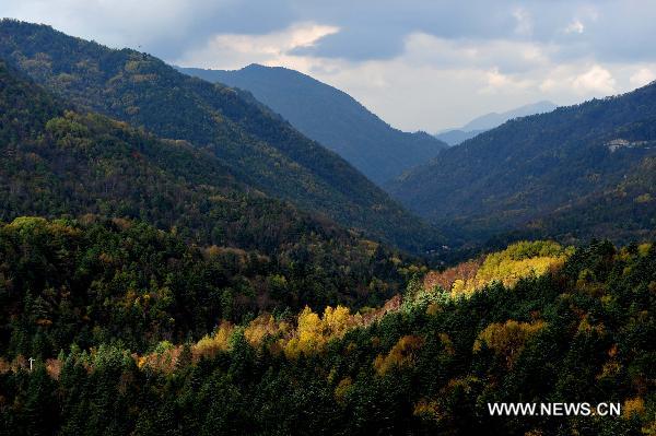 Photo taken on Oct. 18, 2010 shows the autumn scenery at the Shennongjia Nature Reserve in central China's Hubei Province. [Xinhua/Du Huaju]