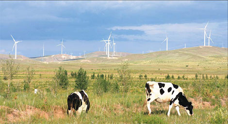 Wind power generators in Xilin Gol League, Inner Mongolia autonomous region. [China Daily]