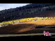 Located north of Heilongjiang Province and the Inner Mongolia Autonomous Region, Greater Khingan Mountains is an oxygen-providing paradise covering a large forest area - a total of 84.6-thousand square kilometers, equal to the territory of Austria or 137 Singapores. It is an ideal getaway for trekking and exploring for its colorful landscape in autumn. [China.org.cn]