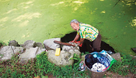 A woman from an unnamed village in Chongqing washes clothes on July 29 in a pool that has been taken over by duckweed. [China Daily] 