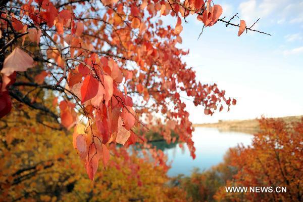 Photo taken on Oct. 20, 2010 shows the autumn scenery around the Issyk-Kul lake in Cholpon-Ata, Kyrgyzstan. [Xinhua/Sadat]