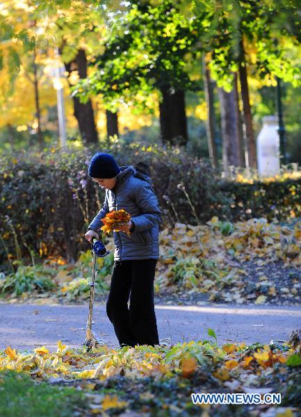 A boy picks up leaves in the city park of Vienna, Austria, Oct. 21, 2010. [Xinhua/Xu Liang]