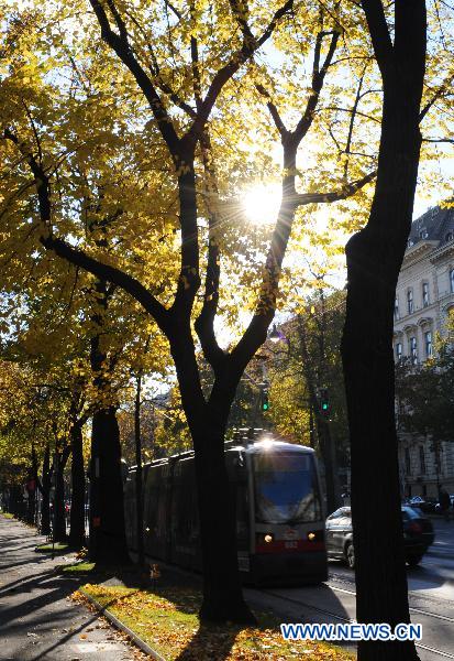 A tramcar travels along the ringroad in Vienna, Austria, Oct. 21, 2010. [Xinhua/Xu Liang]