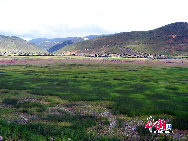 Also known as Zhongdian, Shangri-La is a small, primarily Tibetan town in north-west Yunnan Province. 'Shangri-La' in Tibetan means the 'sun and moon in heart', an ideal home only found in heaven. It is a sacred scenic region blessed with majestic mountains. The lofty and continuous snowy mountains, steep and grand gorges, endless grasslands, azure lakes and the pastoral villages in this area always leave a deep impression to visitors. [Photo by Niu Le]