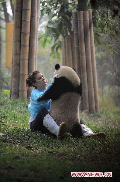 Ashley Robertson escorts Qiqi, a giant panda she looks after, in Chengdu Panda Base in Chengdu, capital of southwest China's Sichuan Province, Oct. 19, 2010. 