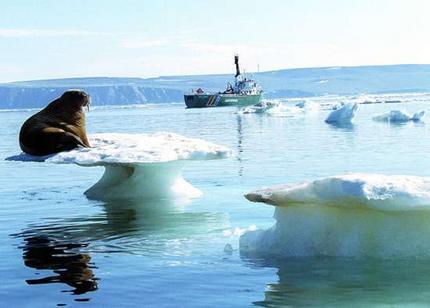 Global warming is melting the ice of the Arctic. [File photo]