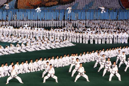 A grand gala is put onstage as part of celebrations to mark the 60th anniversary of the entry of the Chinese People's Volunteers (CPV) into the Korean War front in Pyongyang, Oct 23, 2010. [Photo/Xinhua] 